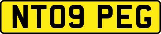 NT09PEG