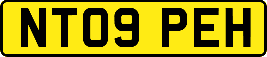 NT09PEH