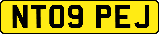 NT09PEJ