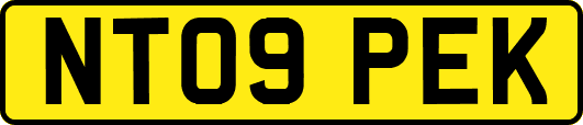 NT09PEK