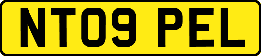 NT09PEL