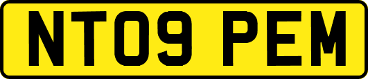 NT09PEM