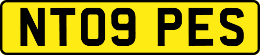 NT09PES