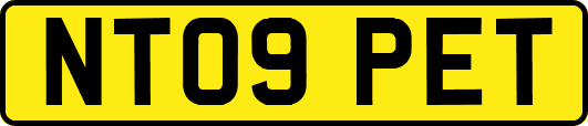 NT09PET