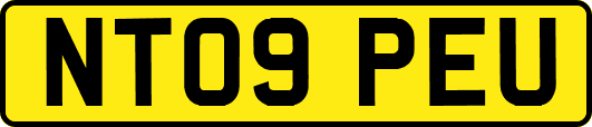 NT09PEU