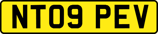 NT09PEV
