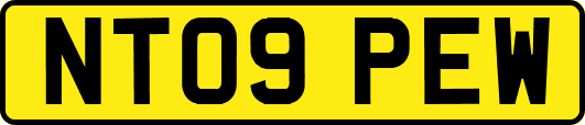 NT09PEW