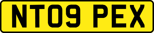 NT09PEX