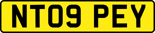 NT09PEY