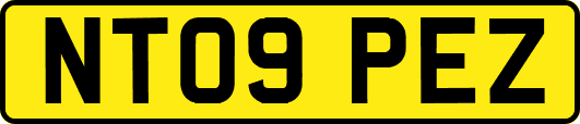 NT09PEZ