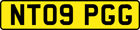 NT09PGG