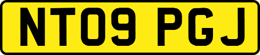 NT09PGJ