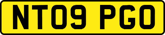 NT09PGO