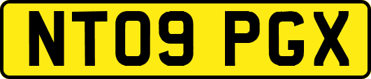 NT09PGX