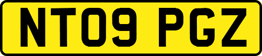 NT09PGZ