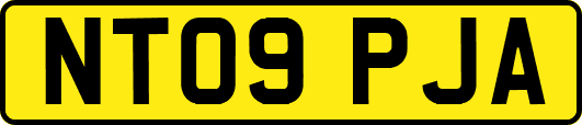 NT09PJA