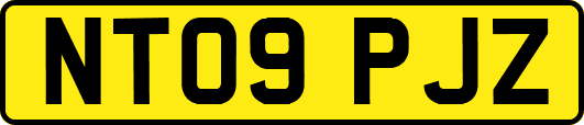 NT09PJZ