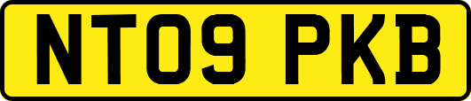 NT09PKB