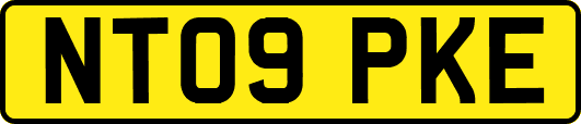 NT09PKE