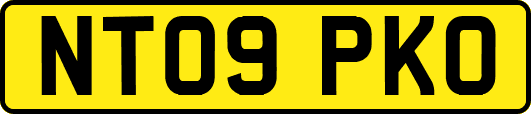 NT09PKO