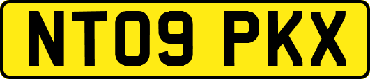 NT09PKX