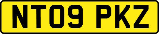NT09PKZ
