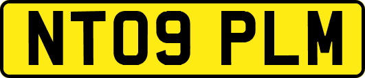 NT09PLM