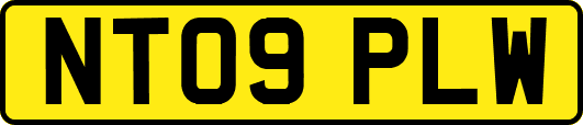 NT09PLW