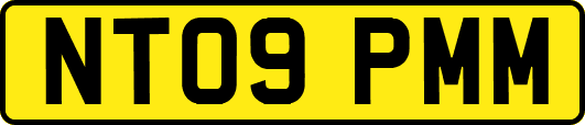 NT09PMM
