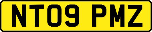 NT09PMZ