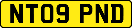 NT09PND