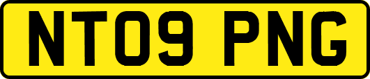 NT09PNG