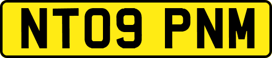 NT09PNM