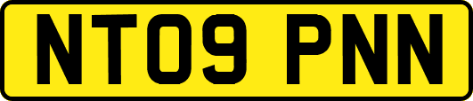 NT09PNN