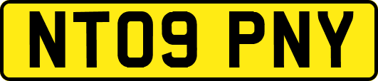 NT09PNY