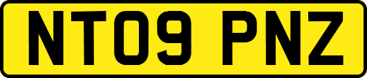 NT09PNZ