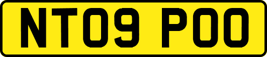 NT09POO