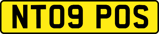 NT09POS