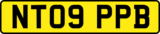 NT09PPB