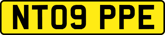 NT09PPE
