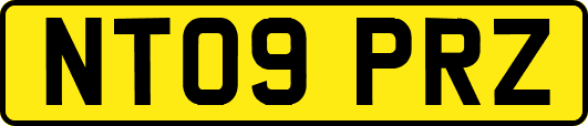 NT09PRZ