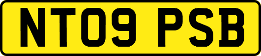 NT09PSB