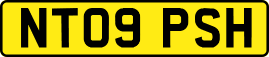 NT09PSH