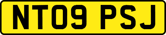 NT09PSJ