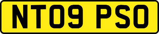 NT09PSO