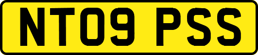 NT09PSS