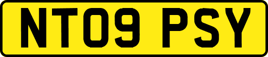 NT09PSY