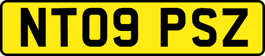 NT09PSZ