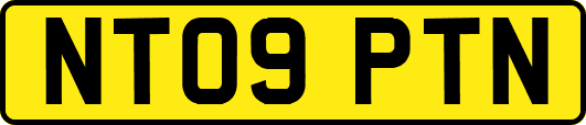 NT09PTN