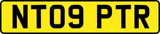 NT09PTR